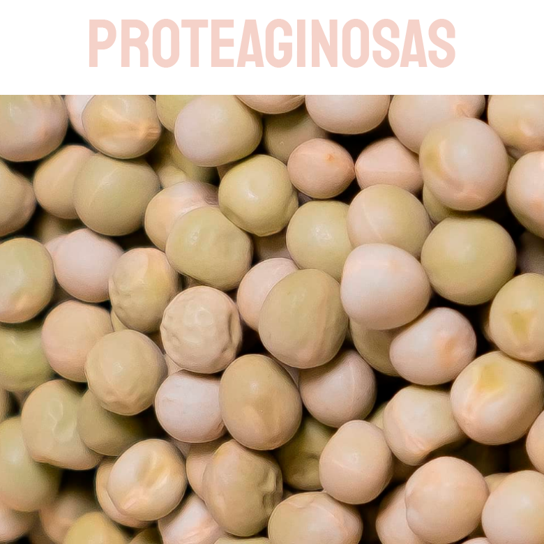 PROTEAGINOSA