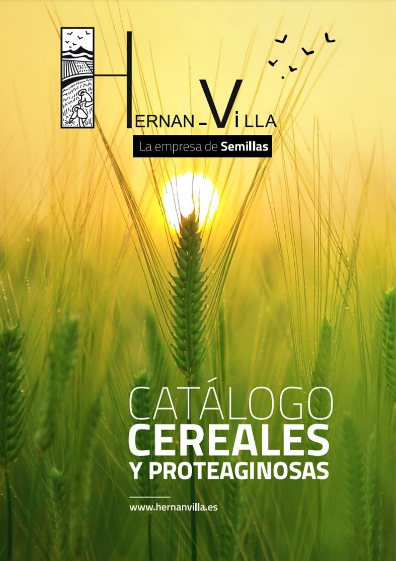 Portada Catálogo 2022