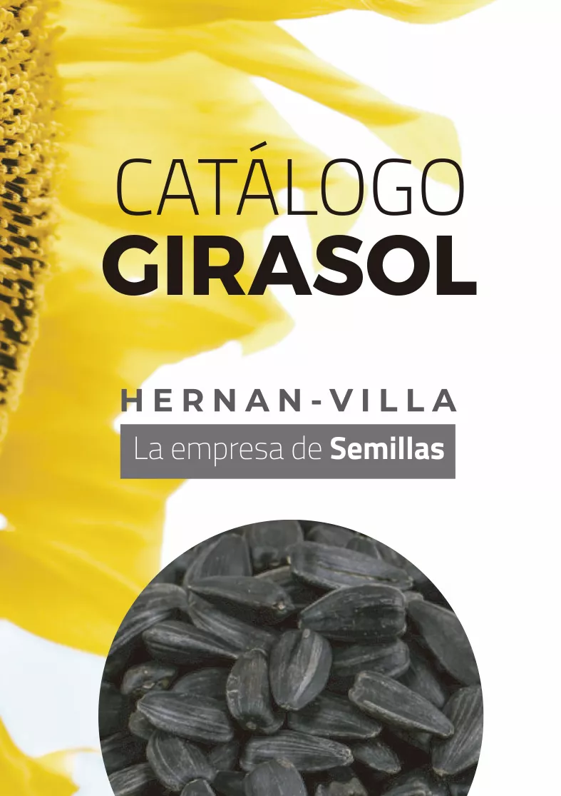 Portada Catálogo Hernanvilla