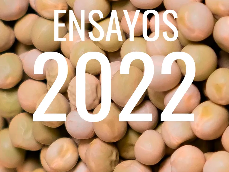 2022-proteaginosas