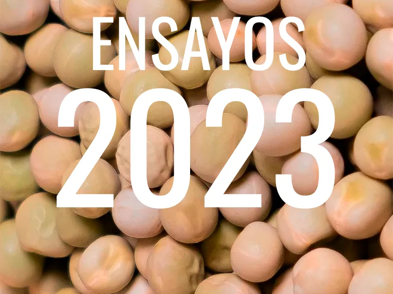 2023-proteaginosas