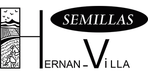 Logo empresa