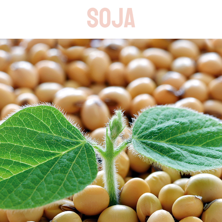 Soja