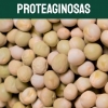 proteaginosas-textoM